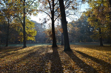 Jesienny park o poranku, Polska