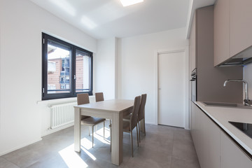 Modern kitchen in total white apartment