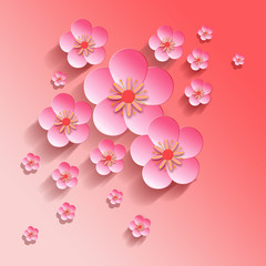 Fototapeta premium Sakura flower background .