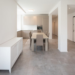 Minimal kitchen in a modern apartment