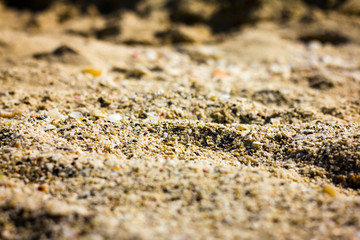 Sand am Strand mit Muscheln und Kies