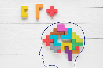 Human brain is made of multi-colored wooden blocks.