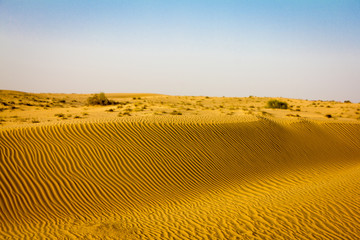 Fototapeta na wymiar Wüste in Dubai in den vereinigten arabischen Emiraten