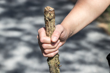 Frau hält einen Wanderstock aus Holz mit der rechten Hand fest