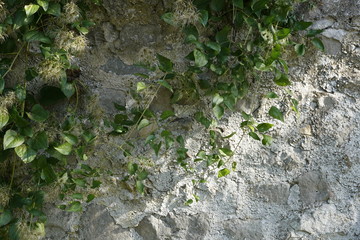 October from Picardie to Normandie 2016 