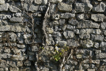 October from Picardie to Normandie 2016 