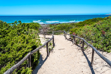 path towards the sea through the beach
