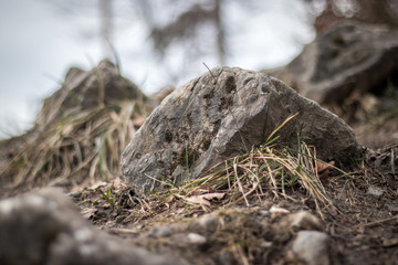 Fels Stein umhüllt von Gras auf einem Wanderweg, Trampelpfad