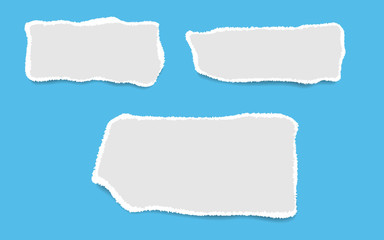 Blank squared notepad pages. Empty note paper isolated on blue background.