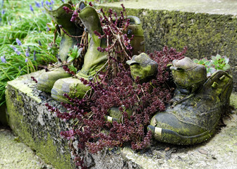 alte Wanderschuhe mit Blumen und Pflanzen, wir brauchen neue Schuhe, Herbst