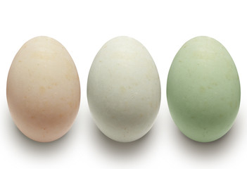 Colorful duck eggs are different  (isolated on white and clipping path)