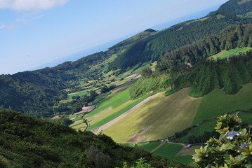 A&ccedil;ores