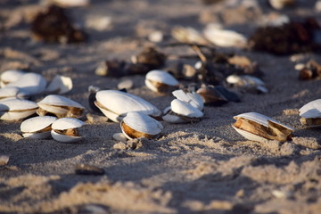 Ostseeküste im Winter mit Sturm und Eis