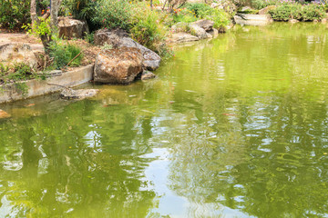 Naklejka na ściany i meble koi fish in garden pond decorative landscape design