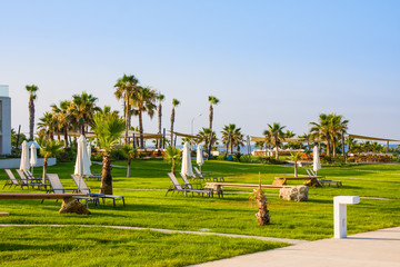 Obraz premium Palm beach with empty sunbeds near sea. Paphos, Cyprus