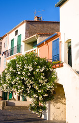 Fototapeta na wymiar Colourful houses in Colliure. Pyrenees-Orientales. Languedoc Roussillon. France