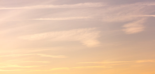 Orange sunset in the sky as a background