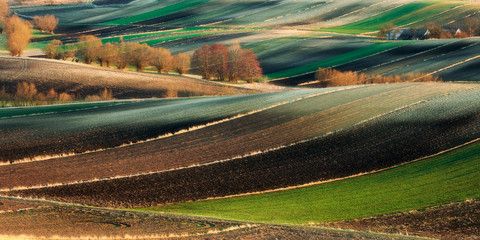 Fototapeta premium Fields and agriculture, spring countryside, Ponidzie, Poland