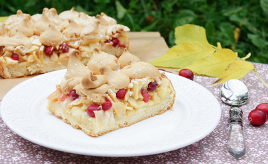 piece of short cake with apples and cranberries