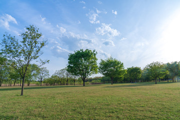 Naklejka premium 【公園素材】爽やかな公園イメージ