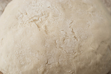 fresh yeast dought macro