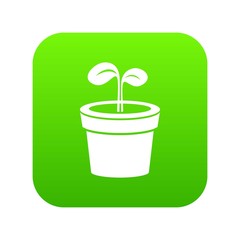 Plant icon green vector