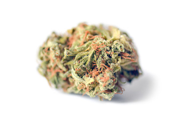 Medical marijuana bud isolated on white background. Therapeutic and medicinal cannabis weed