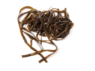 Thongweed – Sea thong – Sea spaghetti – Espagheti de mar

Sea spaghetti is a brown algae. Binomial name: Himanthalia elongata. It is an edible seaweed.