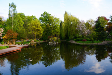 Fototapeta na wymiar lake in the park on summer time