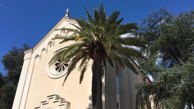 Saint Jerome church and palm in Herceg Novi, Montenegro.