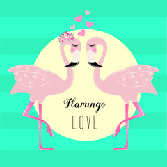 Flamingo love