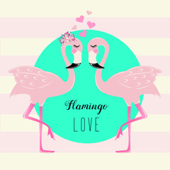 Flamingo love