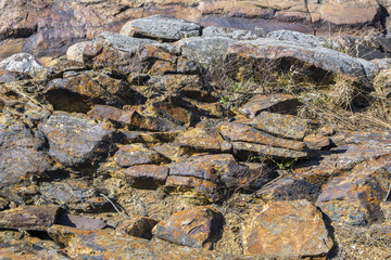 Porkkalanniemi rocky coast, stones and grass, Finland