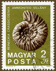 Ammonite Fossil Hungarian Postage Stamp