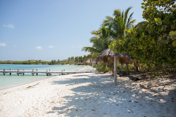 Fototapeta na wymiar Tropical Caribbean Mexico Beach Life warm sand palm tree Contoy Island