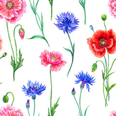 Seamless pattern of cornflowers and poppies, watercolor painting on white background.