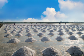 Mass of salt in the salt sea salt farm