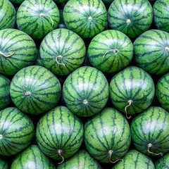 Fototapeta na wymiar big sweet green watermelons background