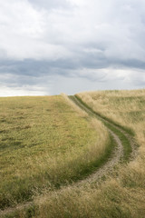 Strada nell'erba