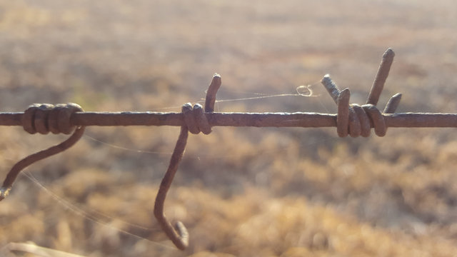 Barb wire between two farms in South africa