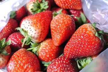 A lot of strawberry