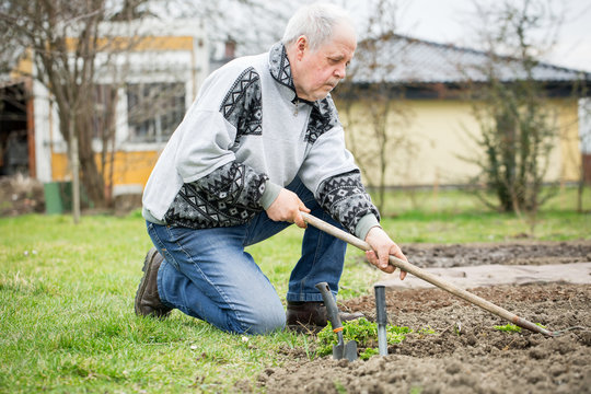 Senior man gardening on his huge garden using rake for  soil loosening