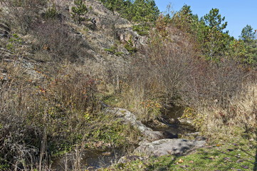 View of autumnal forest and river Lokorska in Balkan mountain, near village Lokorsko, Bulgaria    