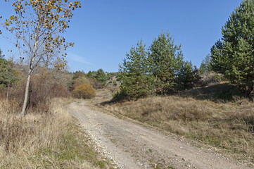 Fototapeta na wymiar Landscape of autumnal nature with mix forest, dirt road and dry glade in Balkan mountain, near village Lokorsko, Bulgaria 