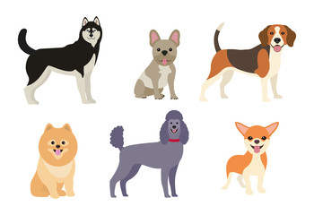 Different dogs collection. Vector illustration