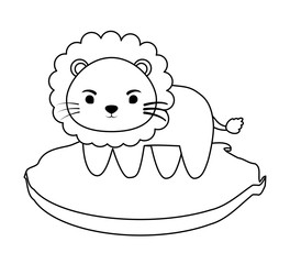 cute lion on the grass over white background, vector illustration