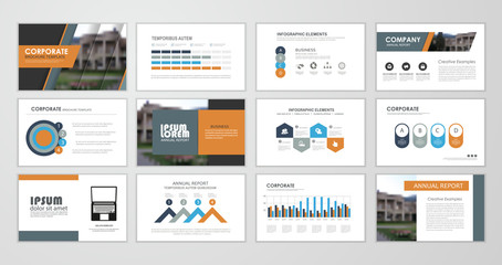 Annual report brochure set