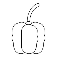 red pepper icon over white background, vector illustration