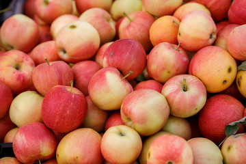 ripe red apples on the market