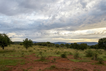 African morning landscape
